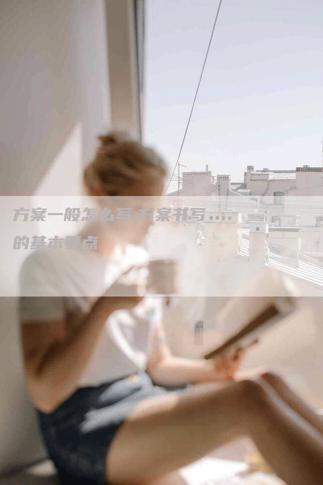 方案一般怎么写,方案书写的基本要点