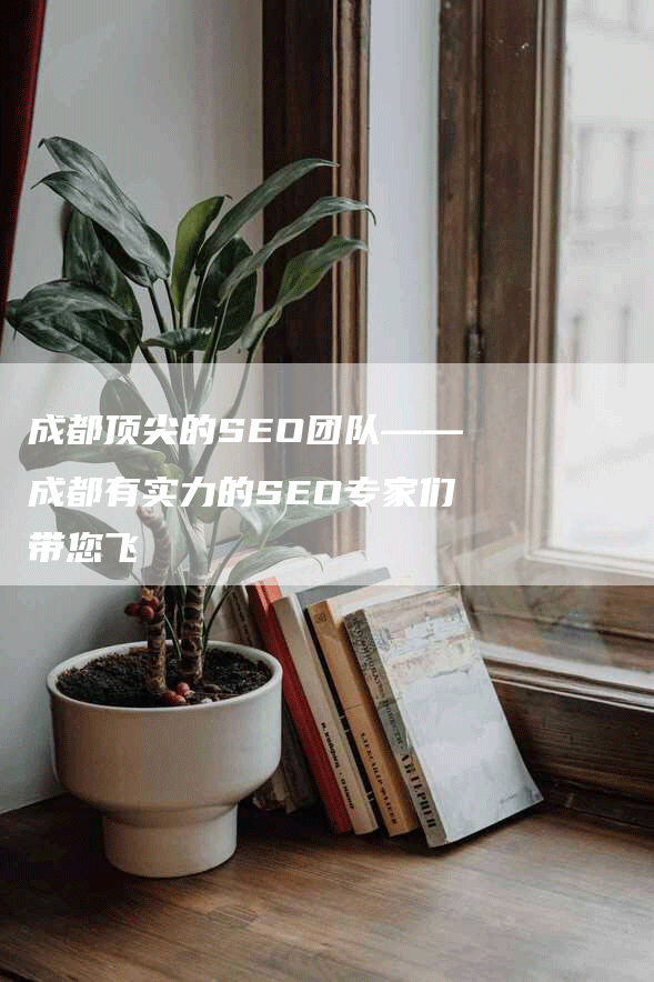 成都顶尖的SEO团队——成都有实力的SEO专家们带您飞