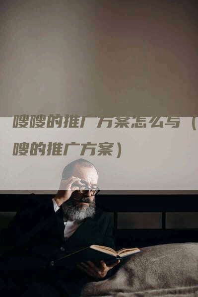 嗖嗖的推广方案怎么写（嗖嗖的推广方案）