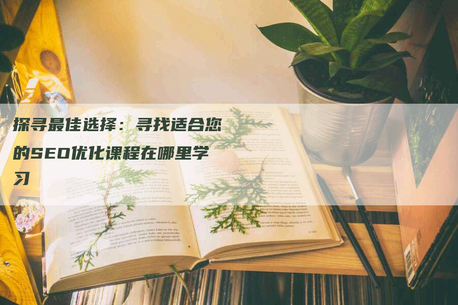 探寻最佳选择：寻找适合您的SEO优化课程在哪里学习