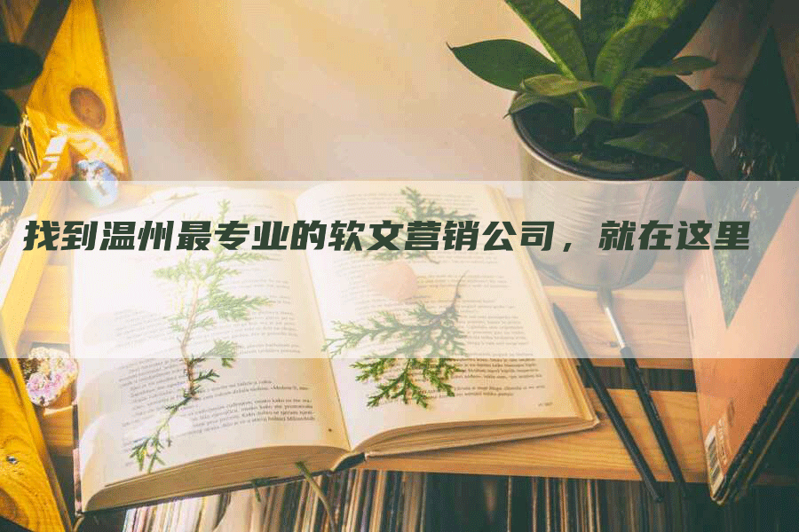 找到温州最专业的软文营销公司，就在这里