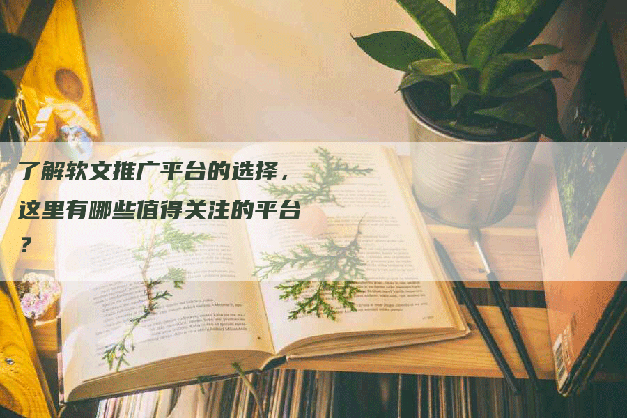 了解软文推广平台的选择，这里有哪些值得关注的平台？