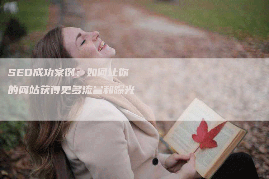 SEO成功案例：如何让你的网站获得更多流量和曝光