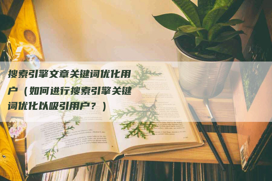 搜索引擎文章关键词优化用户（如何进行搜索引擎关键词优化以吸引用户？）