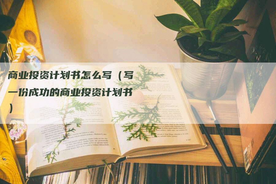 商业投资计划书怎么写（写一份成功的商业投资计划书）