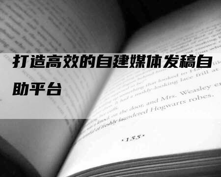 打造高效的自建媒体发稿自助平台