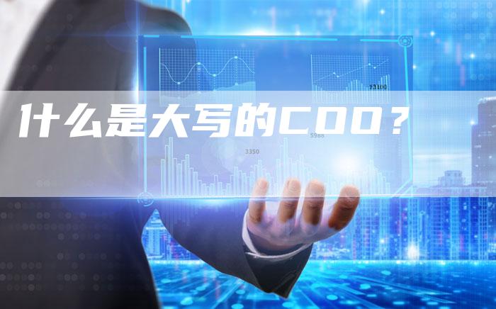 什么是大写的COO？