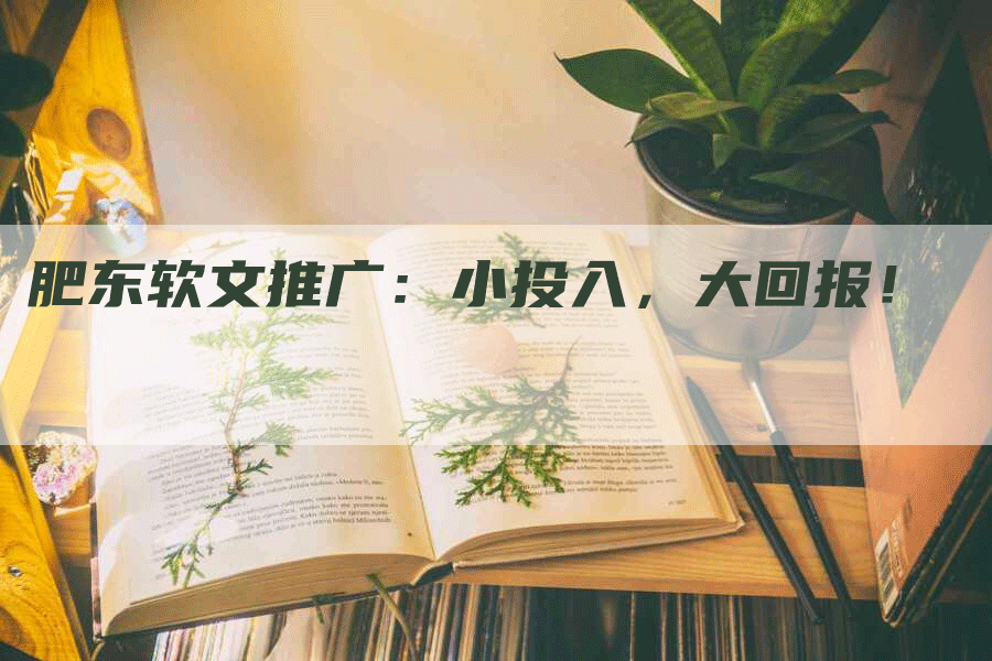 肥东软文推广：小投入，大回报！