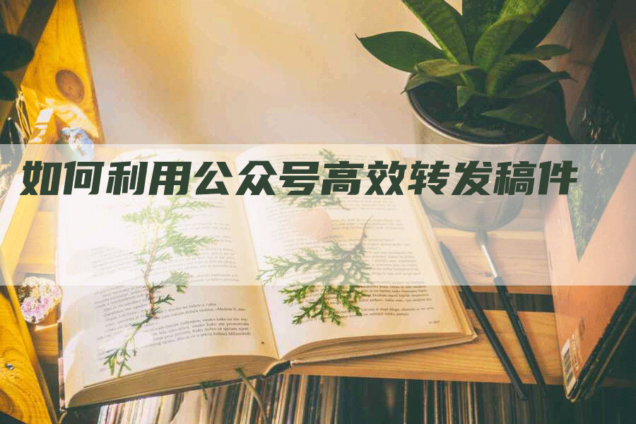 如何利用公众号高效转发稿件