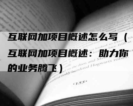 互联网加项目概述怎么写（互联网加项目概述：助力你的业务腾飞）